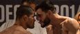 Palhares v Fitch – This weekend’s most intriguing MMA fight comes from outside the UFC