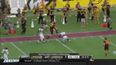 VINE: Touchdown in Citrus Bowl is absolutely incredible