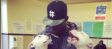 PIC: Mario Balotelli looks to have adopted two dogs from a rescue centre