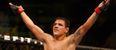 UFC lightweight champion Rafael dos Anjos may have already booked his next defence