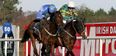 Hurricane Fly and Jezki set for Champion Hurdle rematch this Sunday at Leopardstown