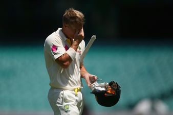 David Warner pays a touching tribute to Phil Hughes after reaching 63 not out for Australia