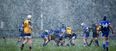 PICS: The Longford hurlers weren’t the only ones training in the snow last night