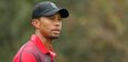 Pic: Tiger Woods loses a tooth in collision with cameraman