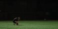 VIDEO: This ad for the 2015 GAA leagues is class