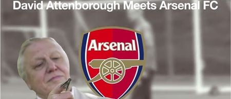 VIDEO: This “David Attenborough meets Arsenal” mash-up has us in stitches