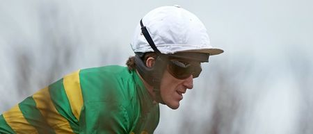 Looks like there will be an AP McCoy movie in cinemas before the end of the year