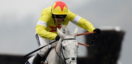 Paul Nicholls’ star Al Ferof to miss Cheltenham