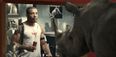 Video: Jose Aldo stars alongside a rhinoceros in surreal energy drink ad