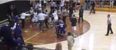 VIDEO: High school basketball game called off after full court brawl breaks out