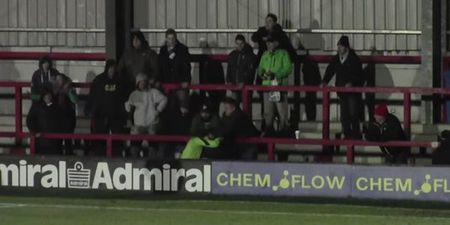 VIDEO: Kingstonian goalkeeper goes Full Cantona and leaps into the stand to fight a fan