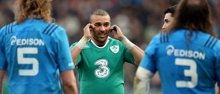 Simon Zebo slowly coming around to Ireland’s meat and two veg rugby