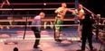 Video: 46-year-old Roy Jones Jr brutally knocks out Willie Williams