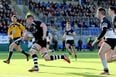 Video: Amazing scenes at full-time as Roscrea reach Leinster Senior Cup final