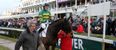 Ladbrokes’ Hayley O’Connor marks your card for Day 1 of Cheltenham 2015