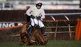 Vine: Here is the dramatic Annie Power fall that saved the bookies a sh*t ton of money