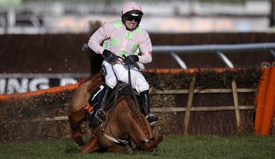 Vine: Here is the dramatic Annie Power fall that saved the bookies a sh*t ton of money