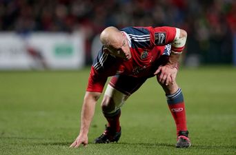 BJ Botha to remain with Munster for another six months after contract extension