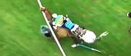 VINE: Cameraman at Cheltenham gets absolutely clattered by horse and rail in the 4.00