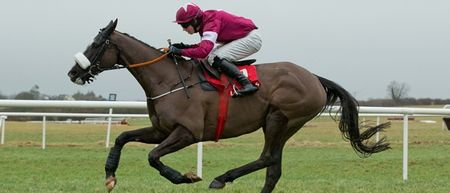 Ladbrokes’ Hayley O’Connor marks your card for Day 3 of the Cheltenham Festival