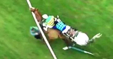 Pic: The picture taken by Patrick McCann just before he was hit by a horse at Cheltenham is incredible