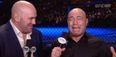 GIF: Joe Rogan’s near-fatal rant leaves Dana White bemused