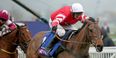 Cheltenham Gold Cup winner a major doubt to defend his title in March