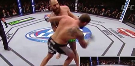 Video: The most hilariously unhelpful UFC cornerman ever (NSFW)