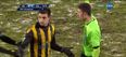 VIDEO: Serbian footballer flat-out refuses to leave the field after red card, proceeds to destroy hoardings