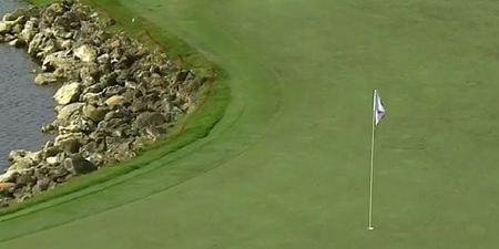 VIDEO: Brandt Snedeker used up his entire year’s worth of luck with this shot