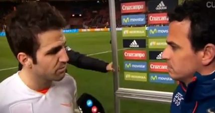 VIDEO: Cesc Fabregas to reporter after Netherlands game: “What a nerve you have”