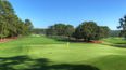 Pic: Padraig Harrington demonstrates just how treacherous the Augusta greens can be