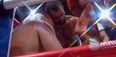 Video: Russian boxer shows great sportsmanship after brutally knocking out opponent