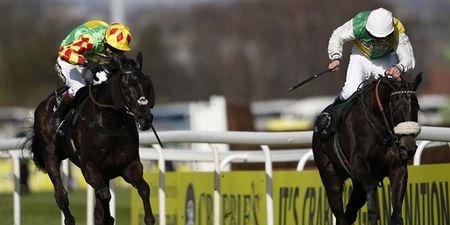 VINE: Many Clouds claims the Grand National at Aintree