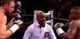 GIF: The referee for Andy Lee’s fight last night was absolutely gas