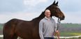 England rugby star Mike Tindall won €145,000 at the Grand National