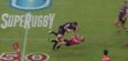 Video: South African player knocked out cold by juggernaut collision