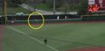 VIDEO: College baseball player flips over wall to produce the most outrageous home run-robbing catch