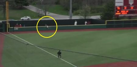 VIDEO: College baseball player flips over wall to produce the most outrageous home run-robbing catch