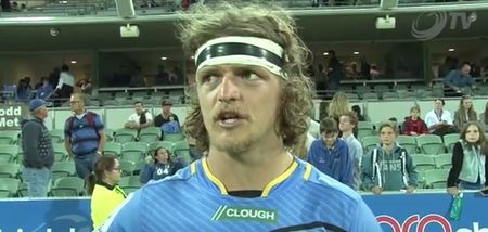 Video: At last, some bright spark has managed to translate a Honey Badger interview