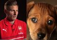 VIDEO: Barking dog gives Oliver Giroud a ‘ruff’ time of by interrupting interview