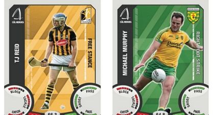 Everything you wanted to know about the GAA Cúl Heroes trading cards