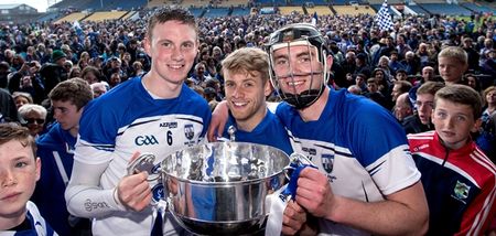 Austin Gleeson goes above and beyond with this classy gesture for a Waterford fan