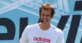 TWEETS: Andy Murray tells the BBC to chill out over their hype about Andy Murray