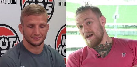 REVEALED: Conor McGregor and TJ Dillashaw had to be pulled apart at UFC 184