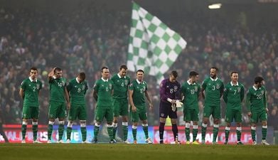 The end of season report cards for the Ireland squad