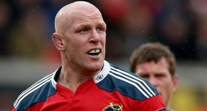 Paul O’Connell’s Munster journey was not supposed to end like this