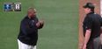 VIDEO: Baseball manager earns standing ovation for truly epic umpire rant