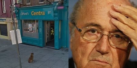 Irish supermarket Centra take advantage of Sepp Blatter resignation with crafty Google result