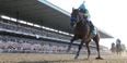 Video: Watch American Pharoah make history by romping to first Triple Crown in 37 years